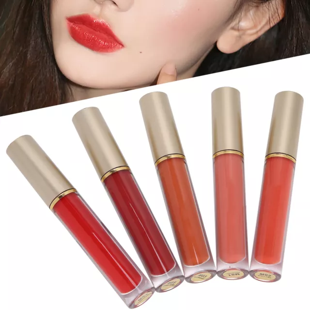 (02 MAPLES)IMAGIC 5Pcs Liquid Lipstick Set Lip Glaze Gloss Matte Long Last RMM 3