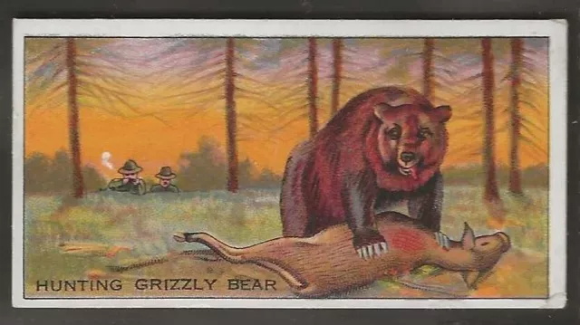 Ardath-Big Game Hunting 1930-#14- Grizzly Bear