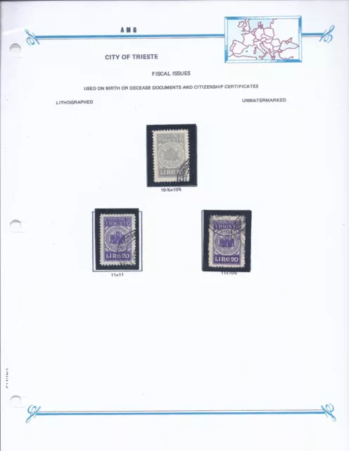 AMG FTT Italy Trieste Municipal Revenues # 6