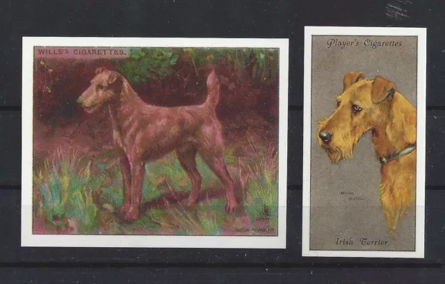 1915 - 1940 UK Reissue Reproduction Dog Art Cigarette Card Set x 2 IRISH TERRIER