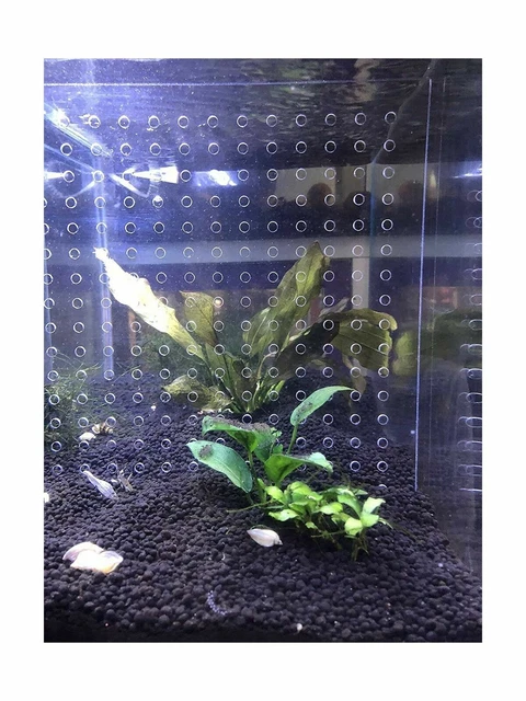 toyuto Aquarium Fish Tank Acrylic Divider 5.5 Gallon Isolation Board...