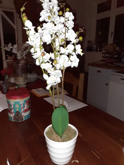 Large Artificial Silk Ivory Orchid Flower Arrangement With Leaves in Ceramic Pot