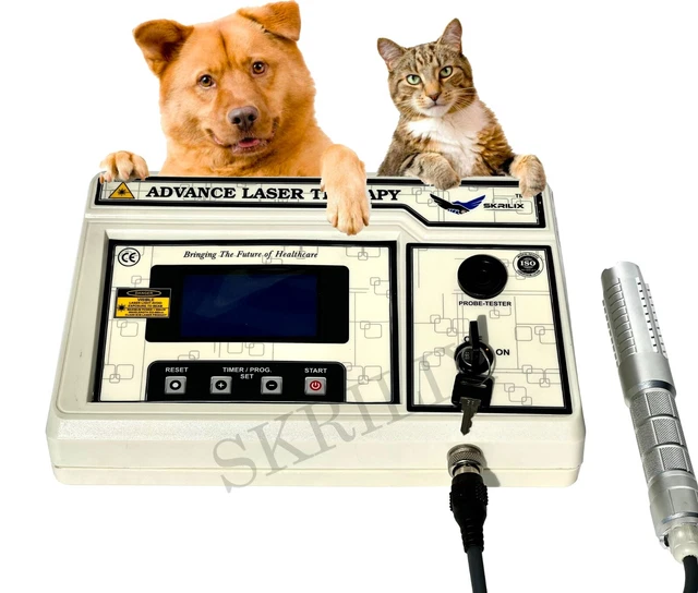 Dogs & Cat IVDD Treatment Laser Therapy Machine Physiotherapy Computerised unit