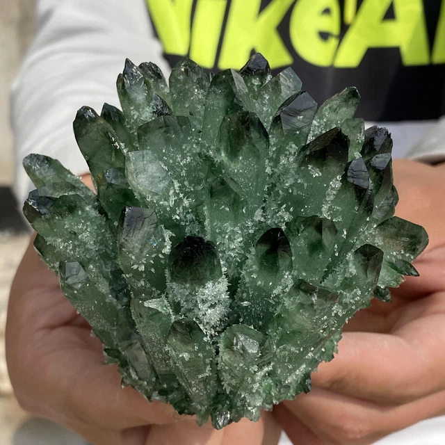 1.30LB New Find Green Phantom Quartz Crystal Cluster Mineral Specimen Healing 10