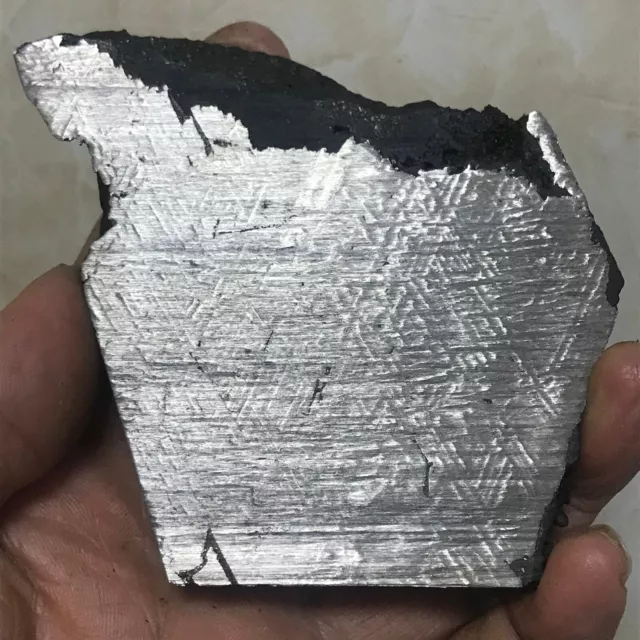 Aletai Iron Meteorite 436.0 Grams Perfect End Cut Concave-Convex Pattern Crust