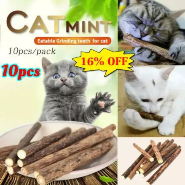 10 Cat Snacks Natural Matatabi Chew Catnip Stick Teeth Molar Cleaning Brush Toy
