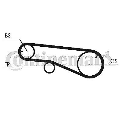 NUOVO-Continental CTAM ct991k1 nastro dentato frase per HYUNDAI MITSUBISHI 