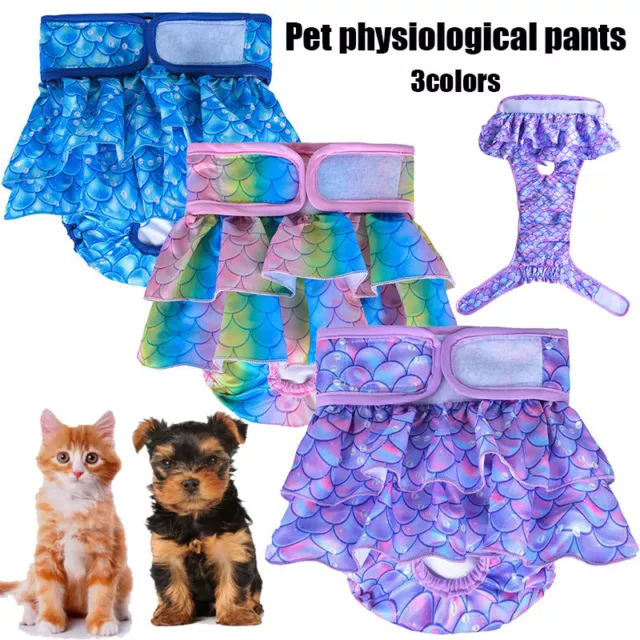 Presa cane animale domestico stagione caldo pantaloni corti sanitari biancheria intima cane mestruale E