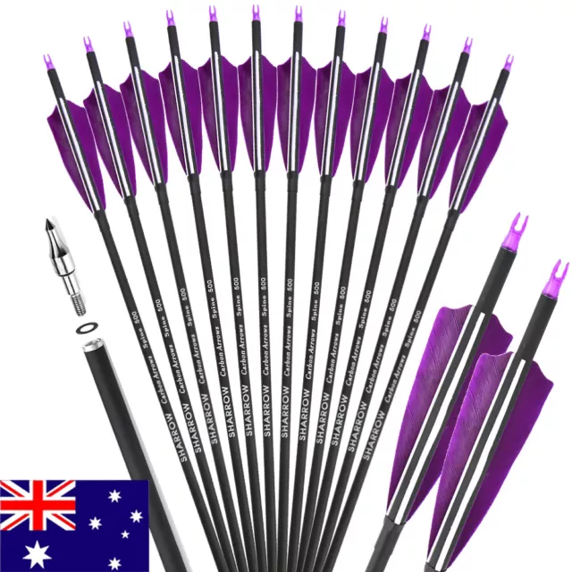 12X 30" Archery Hunting Arrows SP500 Carbon Shaft 4" Feather Recurve CompoundBow