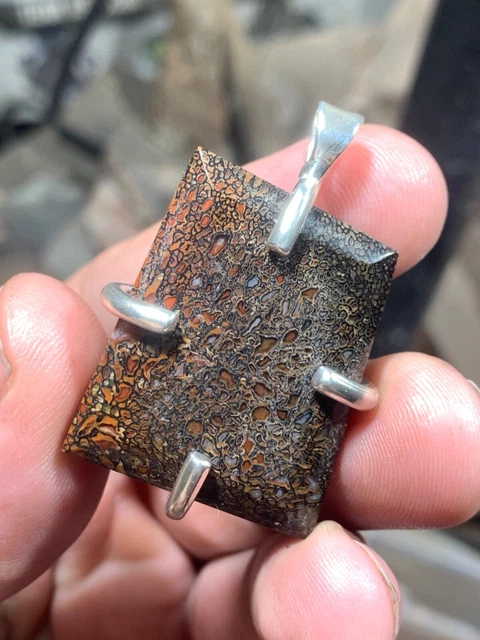 Gorgeous Utah dino gem bone bevel cut pendant