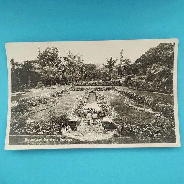 botanical-gardens-durban-south-africa-old-rp-postcard-eur-3-52