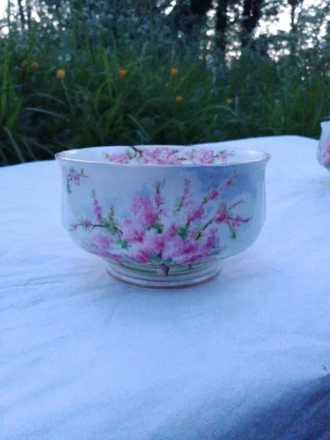 Royal Albert Blossom Time Sugar Bowl
