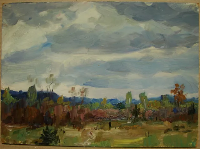 Ukrainian Soviet USSR Oil Painting impressionism realism landscape gloomy day