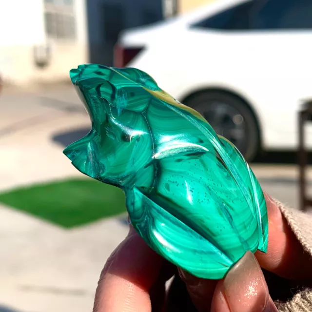 73G Natural Malachite Transparent Handcarved Big Frog Crystal cluster minerals 2