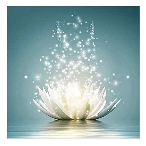 5D Diamant Malerei Kits Vollbohrer Lotus DIY Diamant Kunst Bild Kit Handwerk...