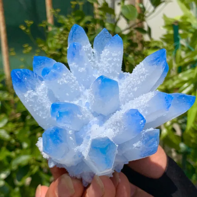 444G New Find sky blue Phantom Quartz Crystal Cluster Mineral Specimen Healing