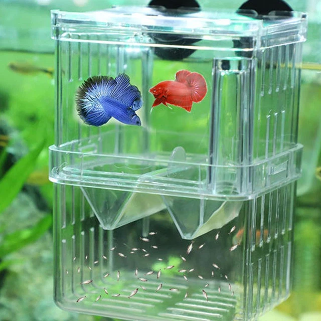 1xFish Breeding Box Shrimp Hatchery Fish Tank Incubator Isolation Aquarium V2E0
