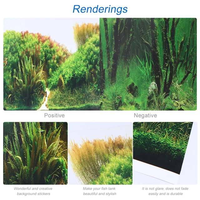Aquarium Image de Fond Aquarium Décoration Milieux 7