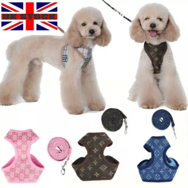 Small Dog Cat Puppy Harness+Lead Leash Set Pet Chihuahua Mesh Vest Adjustable UK