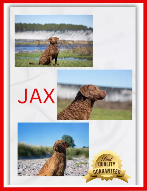 Chesapeake Bay Retriever Custom Dog Blanket Personalized Gift 30x40 50x60 60x80