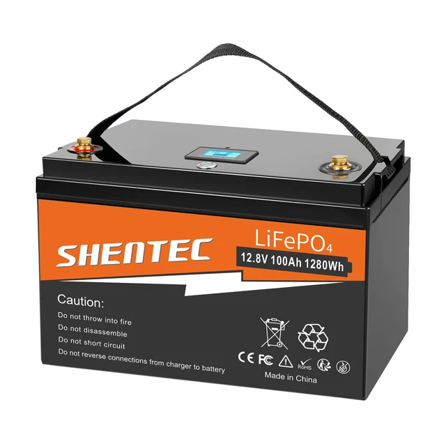 LIFEPO4 12V 100AH Batteria al Litio BMS Ciclo Solare Profondo Golf Off