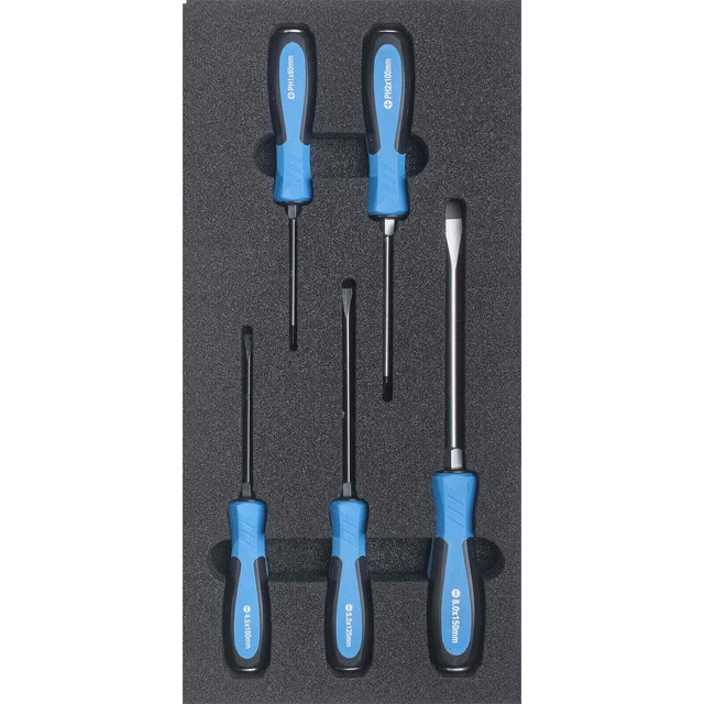SW-STAHL Werkstattwagensortiment,Cacciavite,Resistente,5-teilig Z3013-26