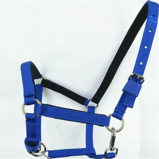 Nylon Headcollar Horse Halter Adjustable Pony Cob Full All Sizes SPW