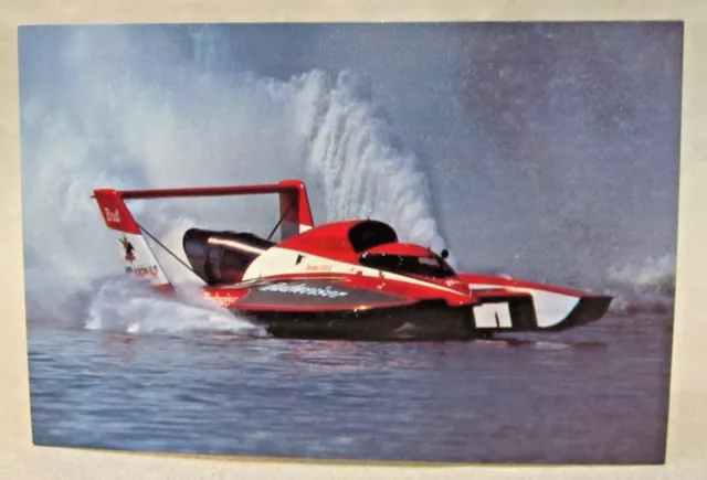 1989 BUDWEISER promo color card picture print hydroplane boat racing