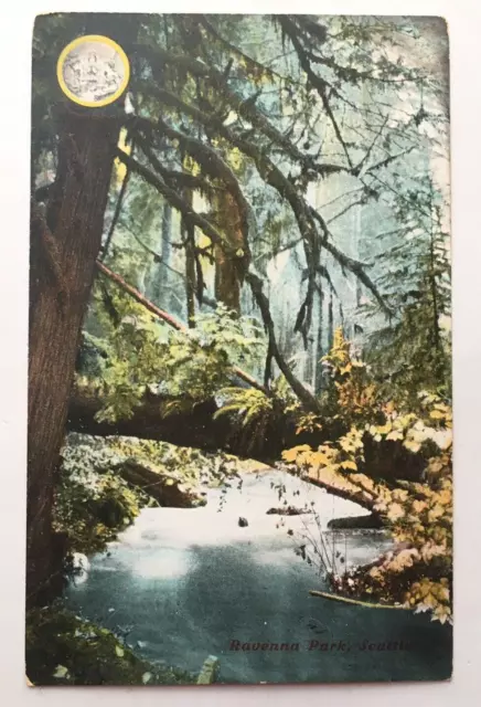 Ravenna Park Creek View Cowen Neighborhood Seattle Washington WA Postcard