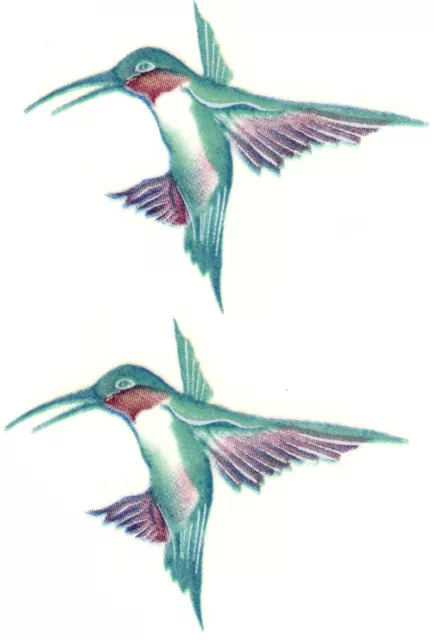 6 calcomanías de cerámica Tropicana colibrí de 1-3/4" fuera de imprenta