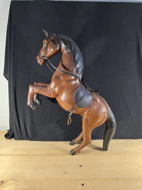 Cheval marron avec lanière en cuir marron photo – Image gratuite de Animal sur
