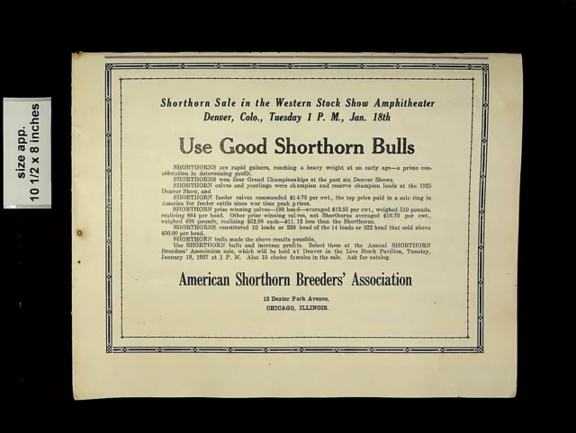 1927 American Shorthorn Breeder's Assoc Cattle Vintage Print Ad 17428