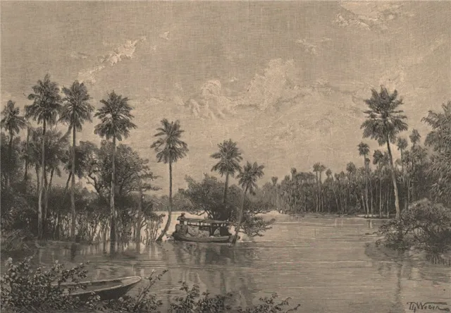 Las Palmas Lagunes, near the mouth of the Pilcomayo. Argentina 1885 old print