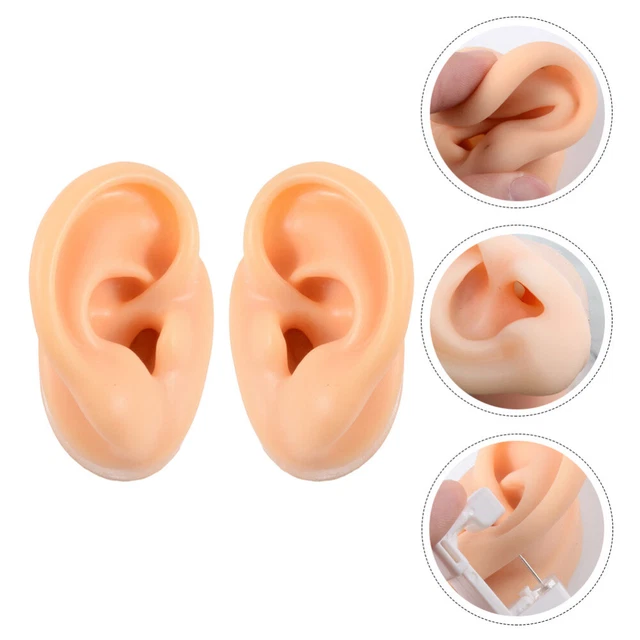 2 pz modello auricolare in silicone medico modello anatomia auricolare