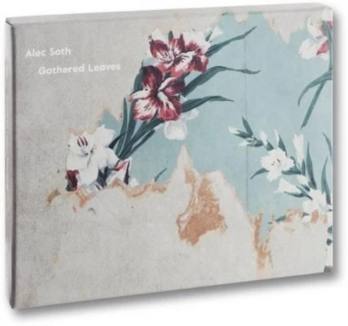 Alec Soth Gathered Leaves (Postcards) (UK IMPORT)