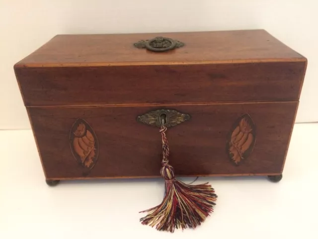 Georgian Mahogany Tea Caddy. Decorated With Inlaid Shell Detail.