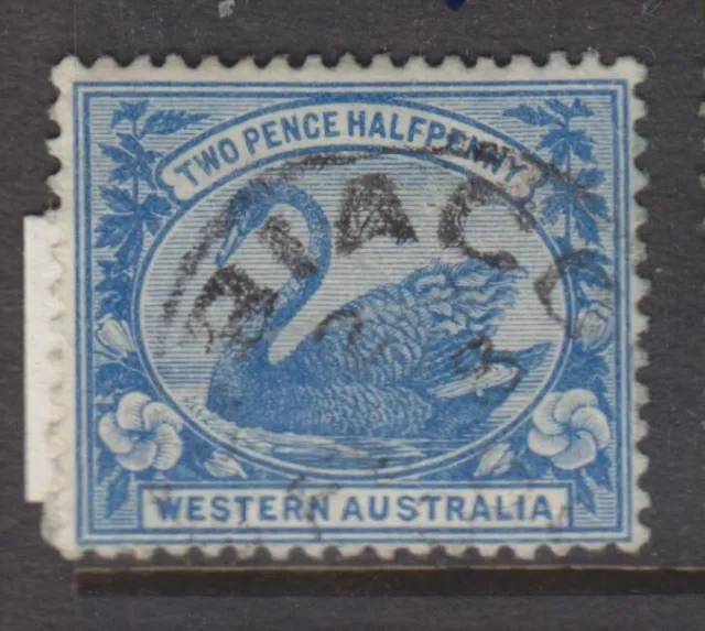 1885-1893 - WESTERN AUSTRALIA - 2½d.  BLUE SWAN - P14 - SG 97A - W633