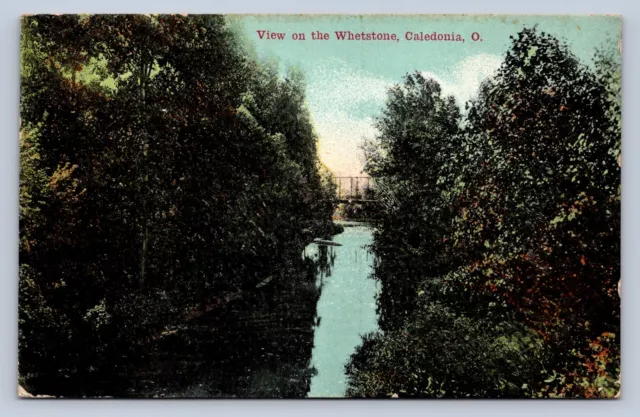 J99/ Caledonia Ohio Postcard c1910 Whetstone Creek Bridge 92