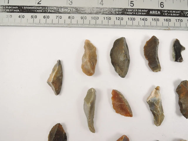 20 MESOLITHIC NEOLITHIC Microlith Stone Age Flint Tools Scrapers Essex ...