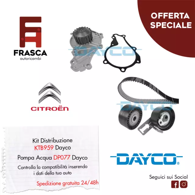 Kit Distribuzione Pompa Acqua Dayco Citroen C3 Picasso 1.6 HDI 90 110 115 2010