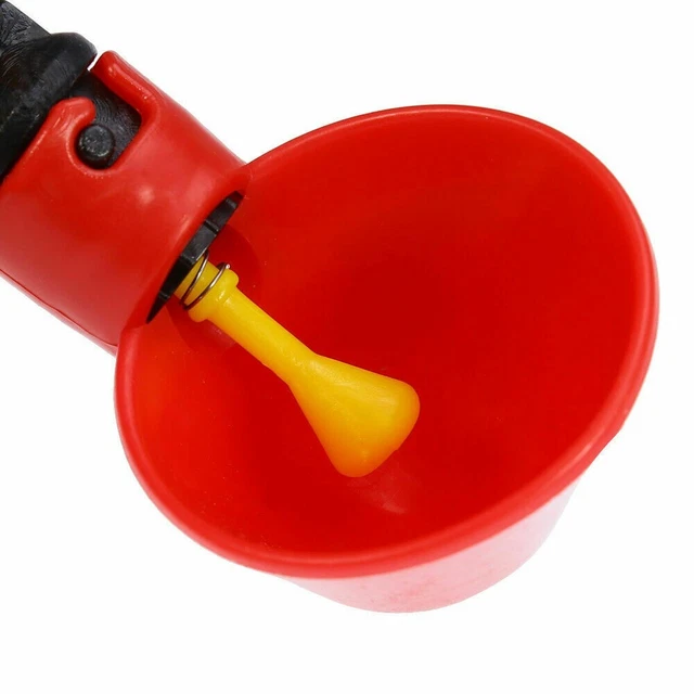Alimentatore acqua Gravity con 4 pz bicchieri automatici per pollame e altro