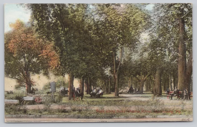Park Along Susquehanna River Harrisburg Pennsylvania Vintage Postcard