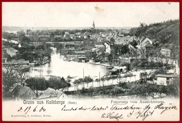 Rund um Berlin Kalkberge (Mark) 1904 Panorama vom Aussichtsturm J. Goldiner AK