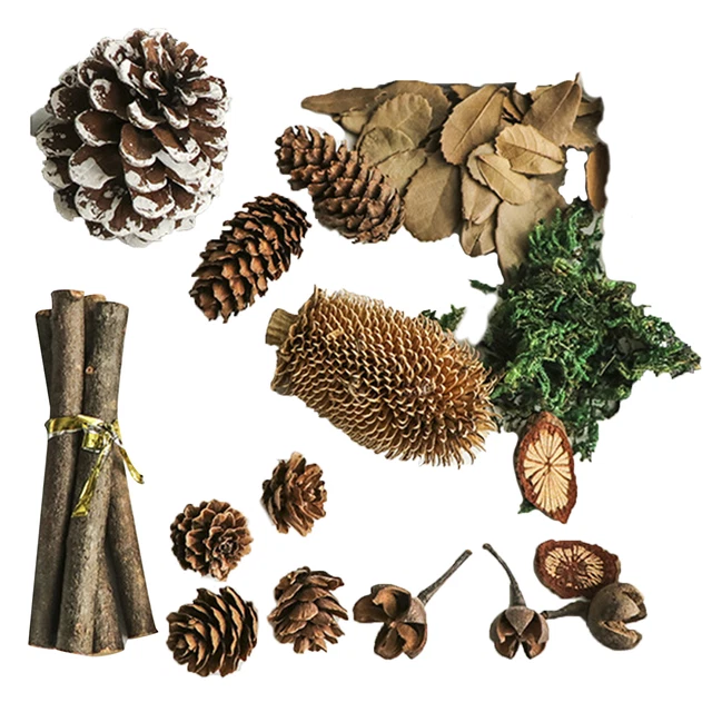 Juego de 14 piezas de accesorios de conos de pino naturales sin rebabas