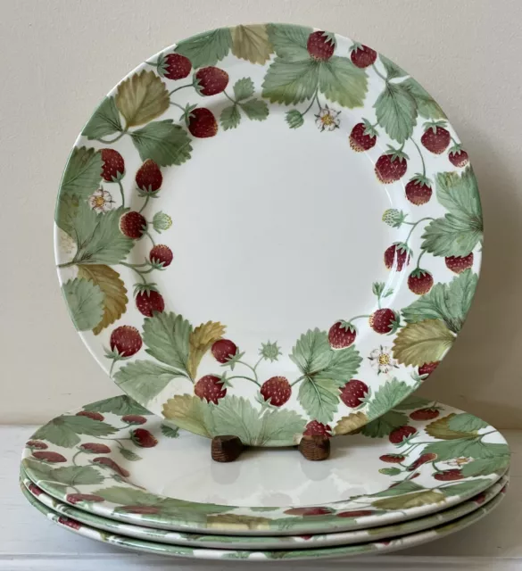 Set of 4 Royal Stafford China WILDBERRY 11" Dinner Plates