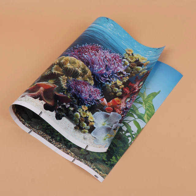 Fond D’aquarium Autocollant Désert – Décor PVC Pour Réservoir Eau Douce & Salée