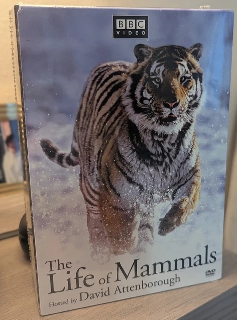 THE LIFE OF Mammals The Complete Series David Attenborough DVD Box