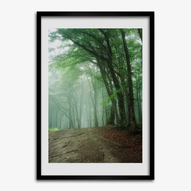 Póster de Arte Fotos en un Marco de Madera MDF 50x70 Niebla en el bosque