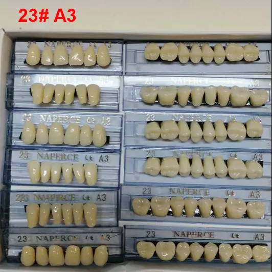 168pc Acrylic Resin Denture Full Set Teeth Upper Lower Shade Tooth Dental 23# A3