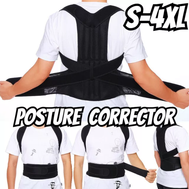 Waist Support Belt for Work Heavy Duty Lift Lumbar Lower Back Brace Suspenders